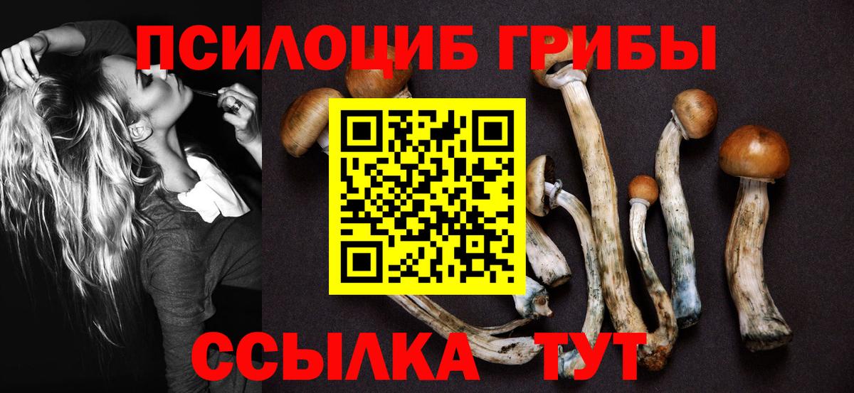 Майкоп  Галлюциногенные грибы GOLDEN TEACHER  Вход с VPN 